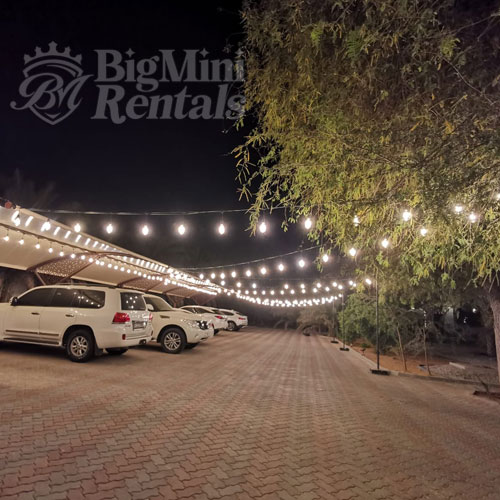 bulb-light-decoration-rental bulb-light-decoration-rental